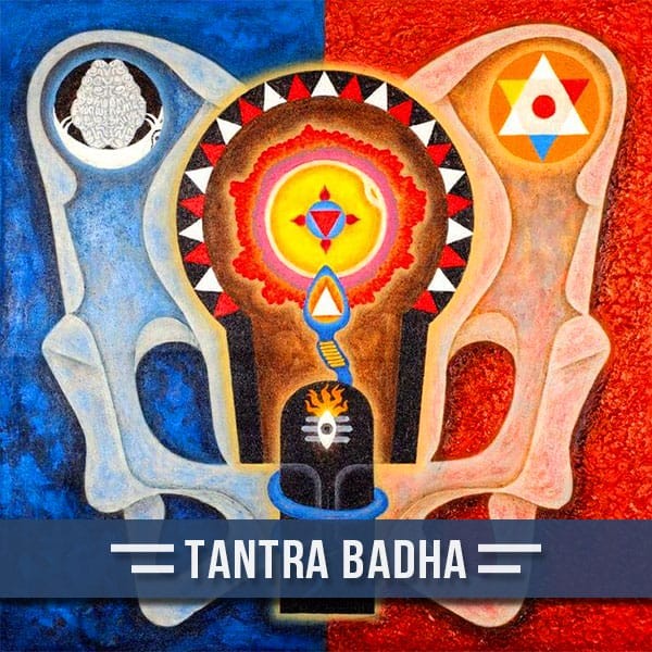 Tantra Badha Puja & Yajna For Removing Tantra Activities